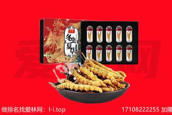 九江市武宁回收虫草.jpg